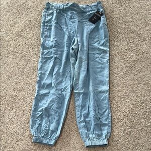 NWT Zac & Rachel Sky Blue Casual Pants